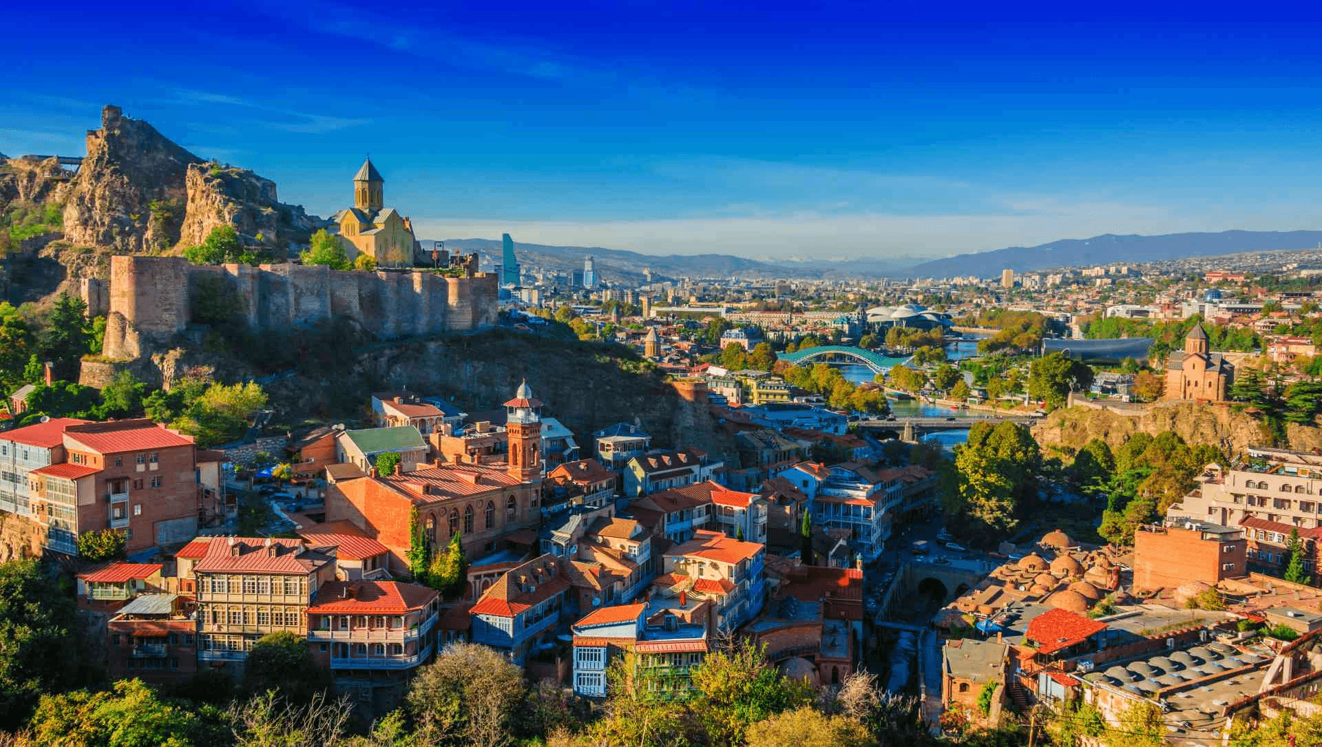 Universities in Georgia